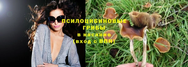 спайс Белоозёрский