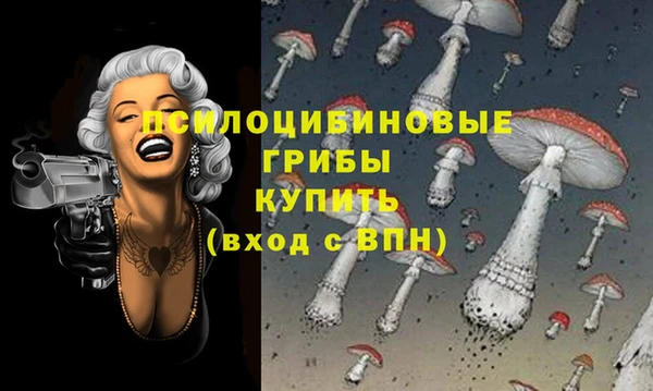 apvp Богородицк