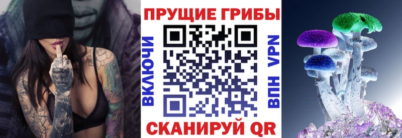 Галлюциногенные грибы Cubensis  Бугульма 