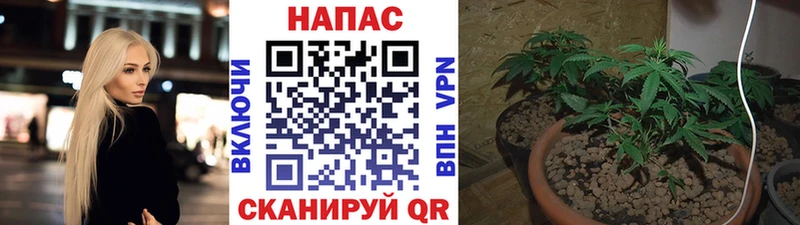 где купить наркотик  Бугульма  Марихуана LSD WEED 